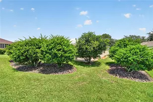 9451 SE 132nd Loop, Summerfield, FL 34491 - Photo 38