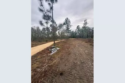 Se 4th Street, Williston, FL 32696 - Photo 6