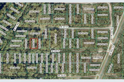 Ne 226th Street, Orange Springs, FL 32182 - Photo 2