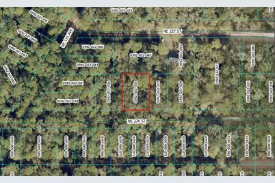 Ne 226th Street, Orange Springs, FL 32182 - Photo 1