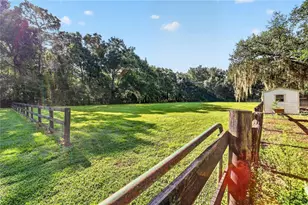 6051 SE 148th Terrace, Morriston, FL 32668 - Photo 48