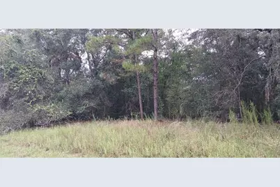 1623 E Ivydale Drive, Citrus Springs, FL 34434 - Photo 1