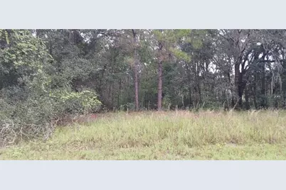 1623 E Ivydale Drive, Citrus Springs, FL 34434 - Photo 2