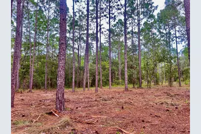 16 SW Anchor Boulevard, Dunnellon, FL 34431 - Photo 12