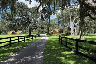 8550 NW 136th Ave Rd, Ocala, FL 34482 - Photo 28