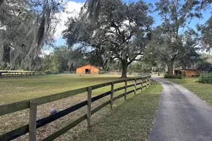 8550 NW 136th Ave Rd, Ocala, FL 34482 - Photo 50