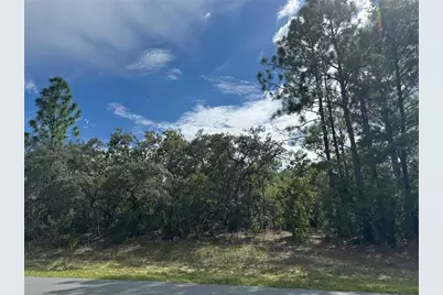 7357 N Firwood Circle, Citrus Springs, FL 34433 - Photo 6