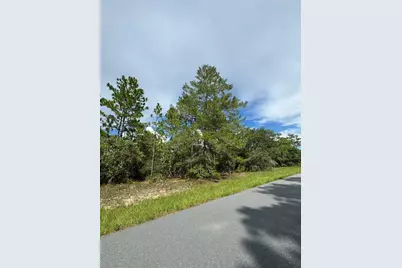 7357 N Firwood Circle, Citrus Springs, FL 34433 - Photo 14
