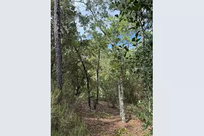 7357 N Firwood Circle, Citrus Springs, FL 34433 - Photo 10