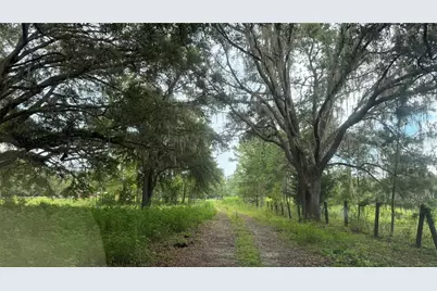 12171 NW 168th Place, Reddick, FL 32686 - Photo 10