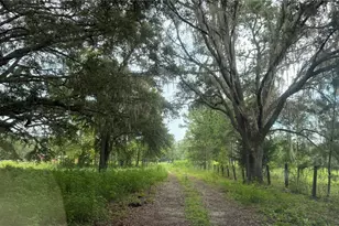 12171 NW 168th Pl, Reddick, FL 32686 - Photo 10