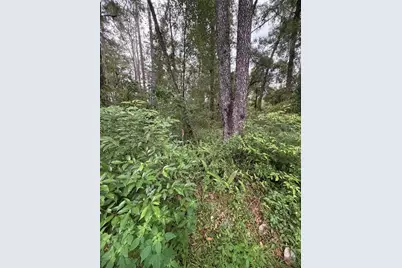 6033 E Dell Lane, Inverness, FL 34452 - Photo 4