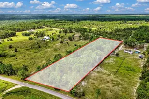1411 SE State Road 121, Morriston, FL 32668 - Photo 52