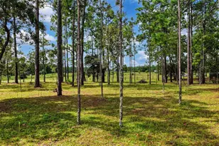 1411 SE State Road 121, Morriston, FL 32668 - Photo 36
