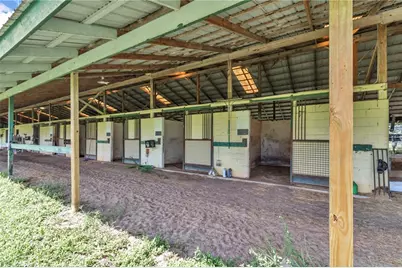 [Address not provided], Reddick, FL 32686 - Photo 12