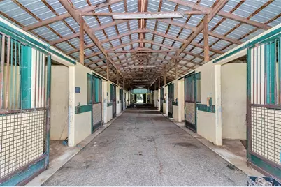 [Address not provided], Reddick, FL 32686 - Photo 8