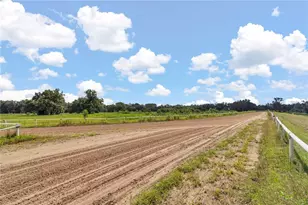 [Address not provided], Reddick, FL 32686 - Photo 30