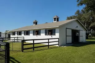 15939 NW 162nd Terrace, Williston, FL 32696 - Photo 50
