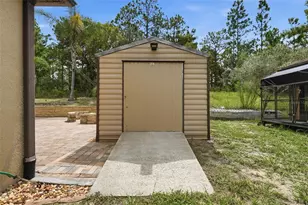 9269 N Saponaria Dr, Citrus Springs, FL 34433 - Photo 10