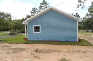 13431 NE 51st St, Williston, FL 32696 - Photo 6
