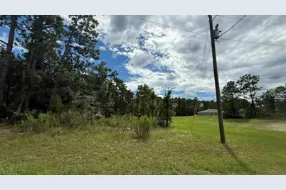 Lot 03 SW 140th Place Road, Ocala, FL 34473 - Photo 4