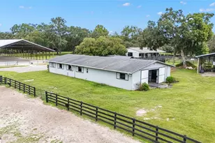 15101 NW 162nd Terrace, Williston, FL 32696 - Photo 8
