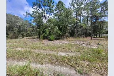 0 NE 3rd Pl, Williston, FL 32696 - Photo 8