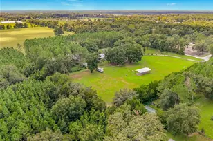 13851 NW 65th Ave, Chiefland, FL 32626 - Photo 64