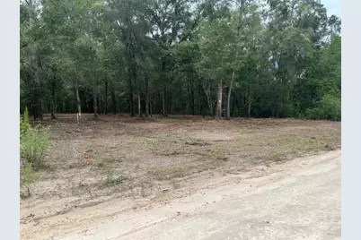2 SW 150th Court, Ocala, FL 34481 - Photo 4