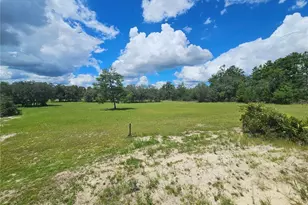 5950 NE 107th Ct, Bronson, FL 32621 - Photo 12