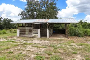 5950 NE 107th Ct, Bronson, FL 32621 - Photo 10