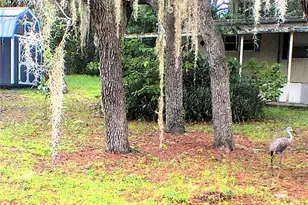 1930 SE 188th Ct, Silver Springs, FL 34488 - Photo 36