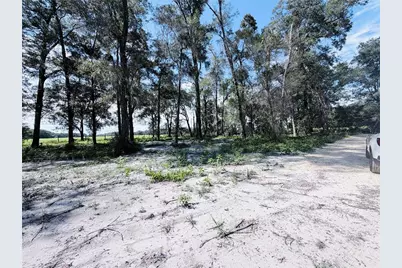 Sw 150th Street, Dunnellon, FL 34432 - Photo 4