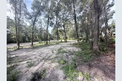 Sw 150th Street, Dunnellon, FL 34432 - Photo 2