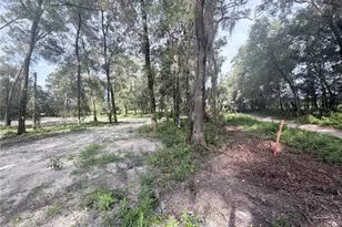 SW 150th St, Dunnellon, FL 34432 - Photo 1