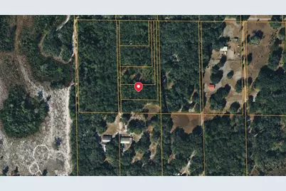 6870 NE 192nd Place, Citra, FL 32113 - Photo 4