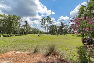 10058 SW 192nd Cir, Dunnellon, FL 34432 - Photo 70