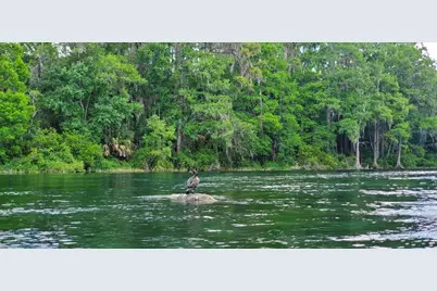 10058 SW 192nd Circle, Dunnellon, FL 34432 - Photo 42