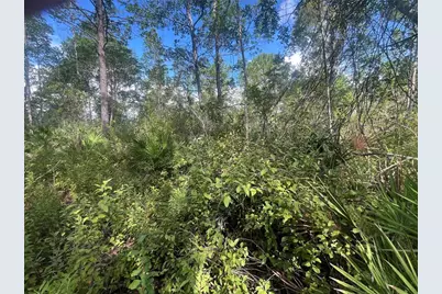 Tbd Fisher Road, Ocklawaha, FL 32179 - Photo 4