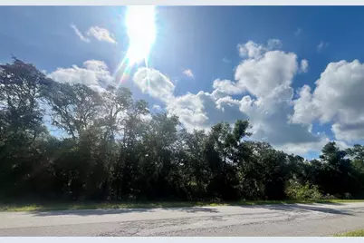 Tbd Fisher Road, Ocklawaha, FL 32179 - Photo 2