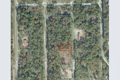 Ne 111 Court, Fort Mc Coy, FL 32134 - Photo 1