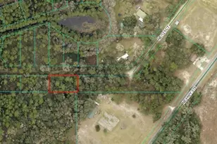 NE 121 Ct, Fort Mc Coy, FL 32134 - Photo 1