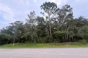 Tbd SE 94th Ave, Belleview, FL 34420 - Photo 1