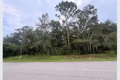 Tbd SE 94th Avenue, Belleview, FL 34420 - Photo 4