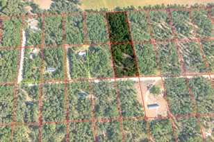 7651 NE 128 Ln, Bronson, FL 32621 - Photo 2