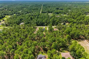 13089 SW 78th Pl, Dunnellon, FL 34432 - Photo 46
