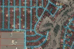 0000 NE 149th Ct, Williston, FL 32696 - Photo 1