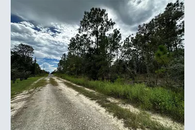 0000 NE 149th Court, Williston, FL 32696 - Photo 4