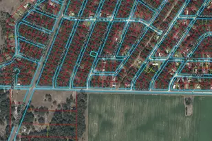 0000 NE 155th Ct, Williston, FL 32696 - Photo 1