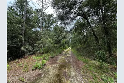 0000 NE 155th Court, Williston, FL 32696 - Photo 6